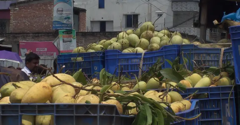 চাঁপাইনবাবগঞ্জের আম